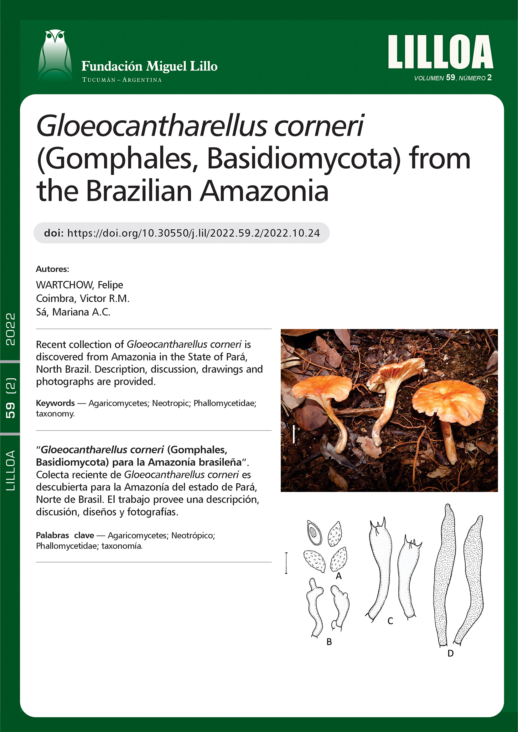 Gloeocantharellus corneri (Gomphales, Basidiomycota) para la Amazonía brasileña