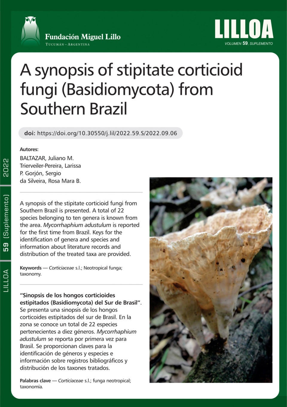 Sinopsis de los hongos corticioides estipitados (Basidiomycota) del Sur de Brasil