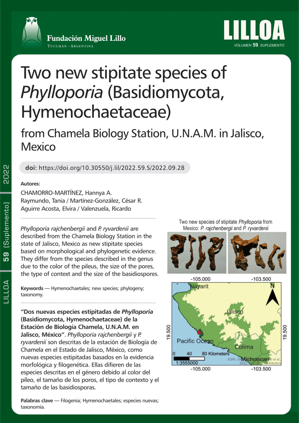 Dos nuevas especies estipitadas de Phylloporia (Basidiomycota, Hymenochaetaceae) de la Estación de Biología Chamela, U.N.A.M. en Jalisco, México