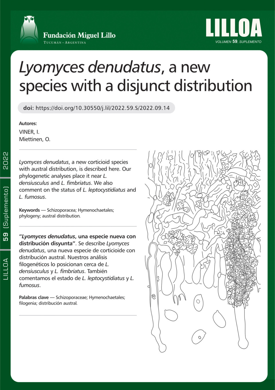 Lyomyces denudatus, una especie nueva con distribución disyunta