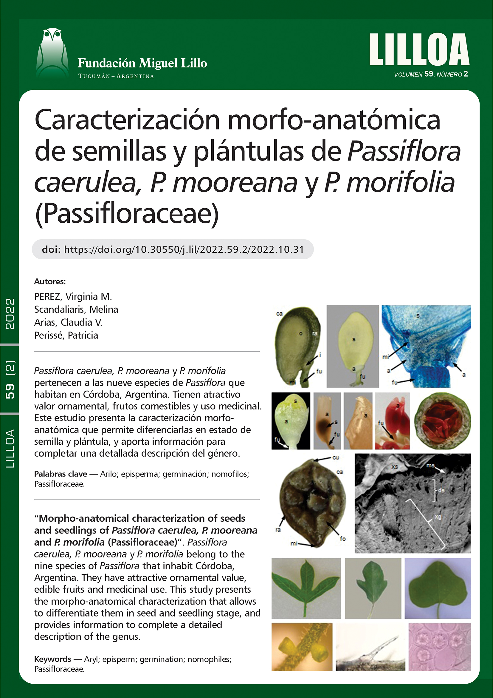 Caracterización morfo-anatómica de semillas y plántulas 
