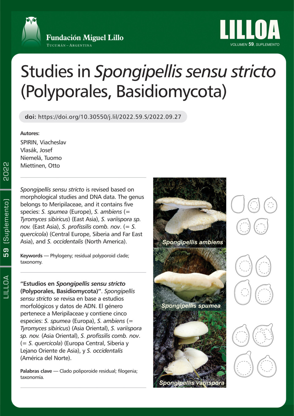 Estudios en Spongipellis sensu stricto (Polyporales, Basidiomycota)