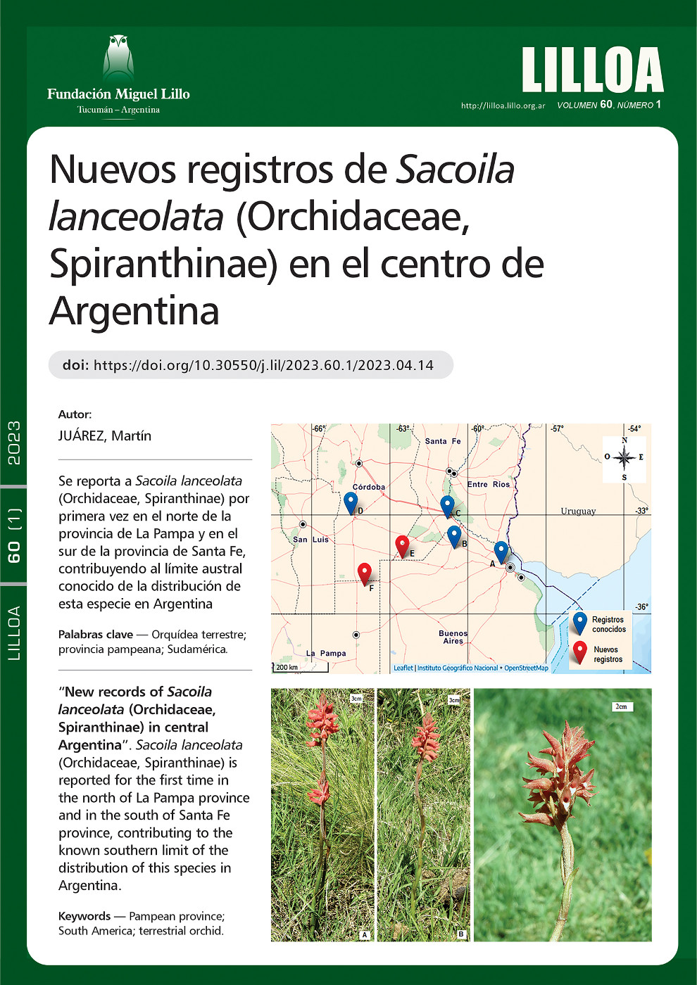 Nuevos registros de Sacoila lanceolata (Orchidaceae, Spiranthinae) en el centro de Argentina