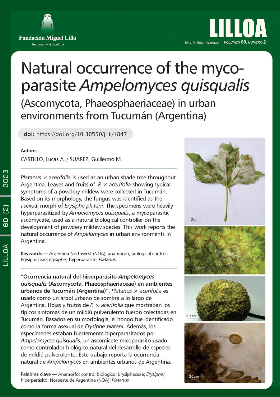 Ocurrencia natural del hiperparásito Ampelomyces quisqualis (Ascomycota, Phaeosphaeriaceae) en ambientes urbanos de Tucumán (Argentina)