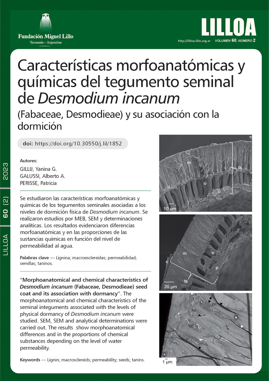 Características morfoanatómicas y químicas del tegumento seminal de Desmodium incanum (Fabaceae, Desmodieae) y su asociación con la dormición
