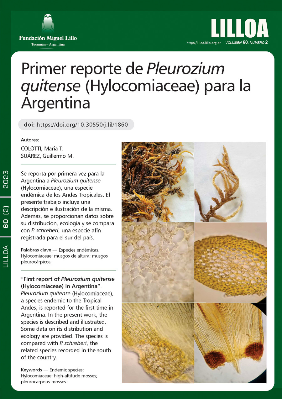Primer reporte de Pleurozium quitense (Hylocomiaceae) para la Argentina