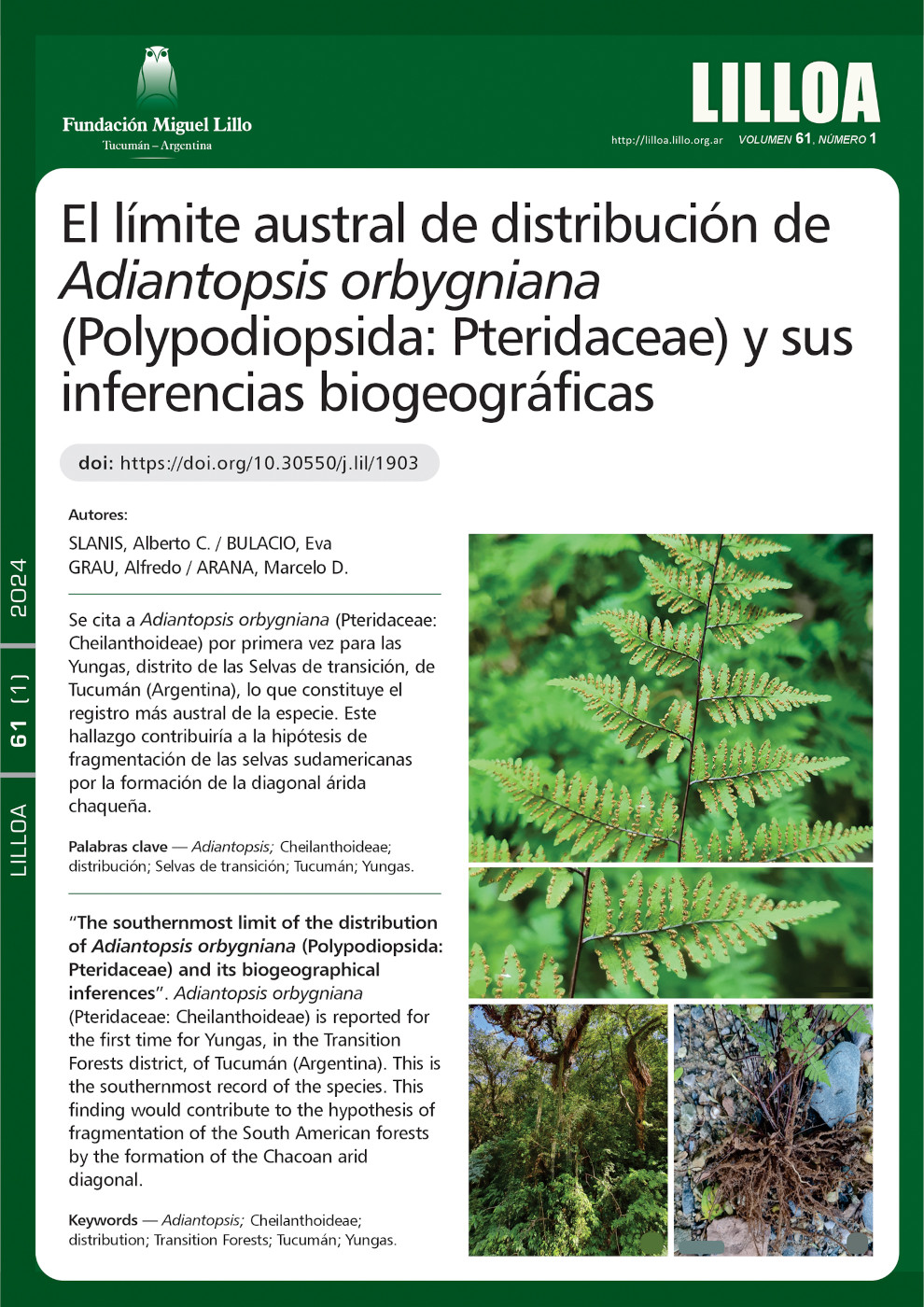 El límite austral de distribución de Adiantopsis orbygniana (Polypodiopsida: Pteridaceae) y sus inferencias biogeográficas: Límite austral de distribución de Adiantopsis orbygniana
