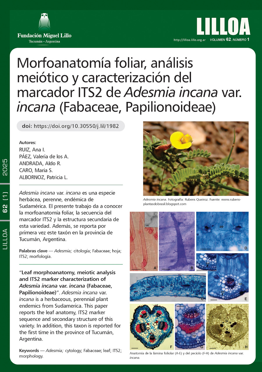Morfoanatomía foliar, análisis meiótico y caracterización del marcador ITS2 de Adesmia incana var. incana (Fabaceae, Papilionoideae)