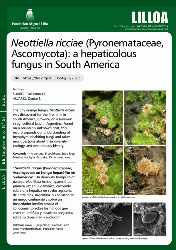 Neottiella ricciae (Pyronemataceae, Ascomycota): un hongo hepatófito en Sudamérica