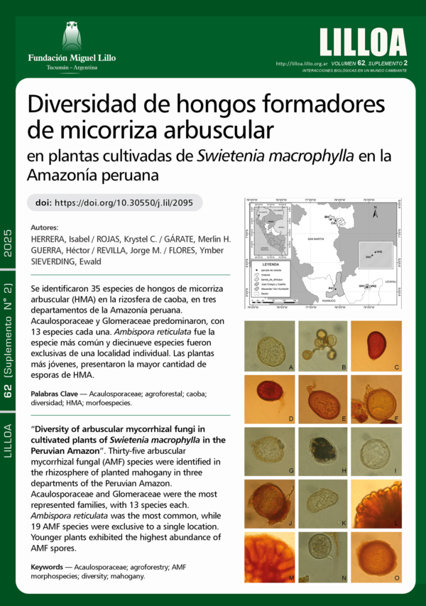 Diversidad de hongos formadores de micorriza arbuscular en plantas cultivadas de Swietenia macrophylla en la Amazonía peruana