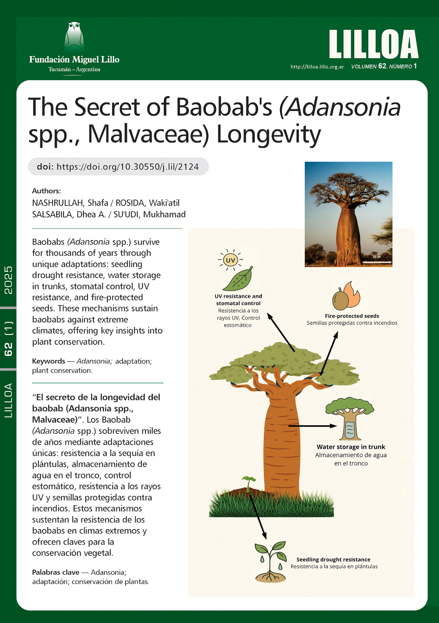 El Secreto de la Longevidad del Baobab (Adansonia spp., Malvaceae)