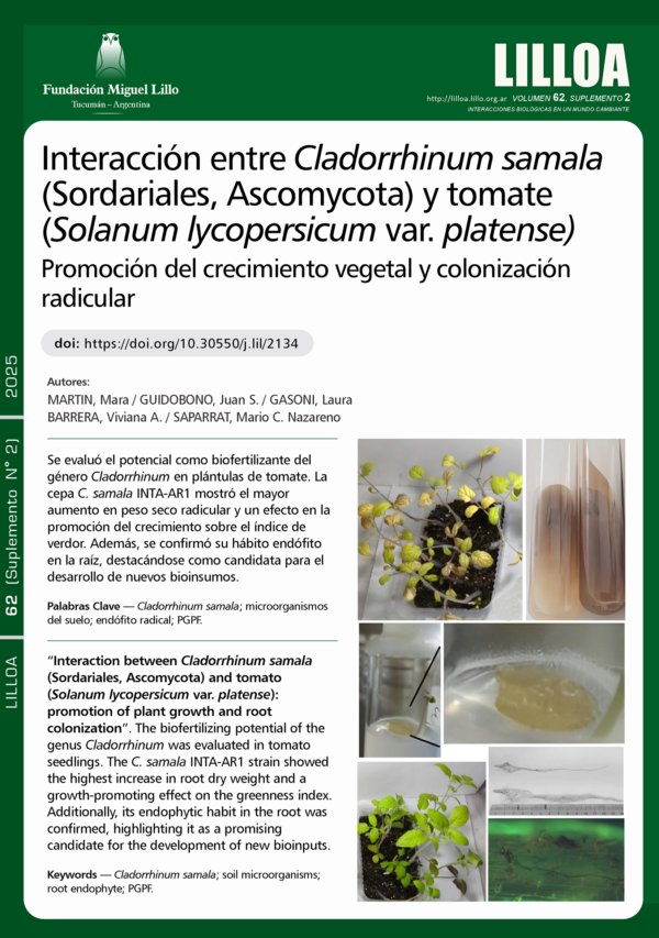 Interacción entre Cladorrhinum samala (Sordariales, Ascomycota) y tomate (Solanum lycopersicum var. platense): Promoción del crecimiento vegetal y colonización radicular