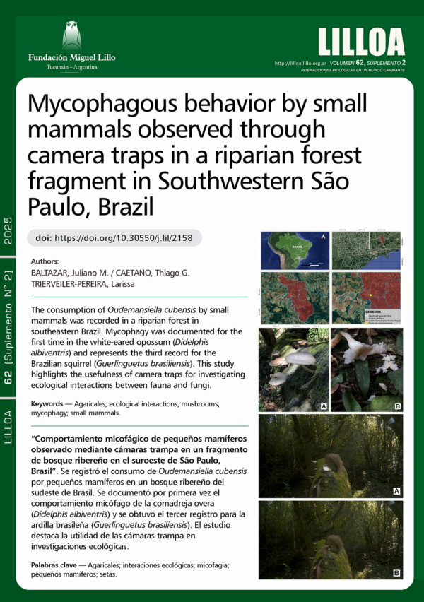 Comportamiento micofágico de pequeños mamíferos observado mediante cámaras trampa en un fragmento de bosque ribereño en el suroeste de São Paulo, Brasil