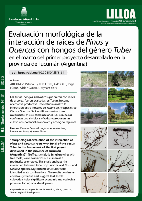 Evaluación morfológica de la interacción de raíces de Pinus y Quercus con hongos del género Tuber en el marco del primer proyecto desarrollado en la provincia de Tucumán (Argentina)