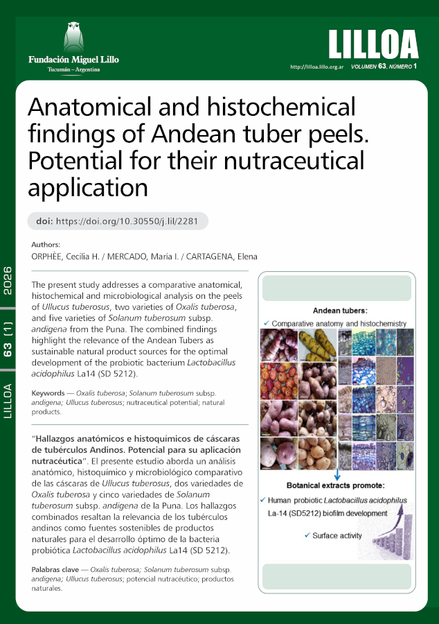 Hallazgos anatómicos e histoquímicos de cáscaras de tubérculos Andinos: Potencial para su aplicación nutracéutica