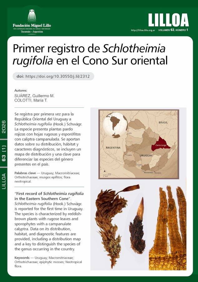 Primer registro de Schlotheimia rugifolia en el Cono Sur oriental