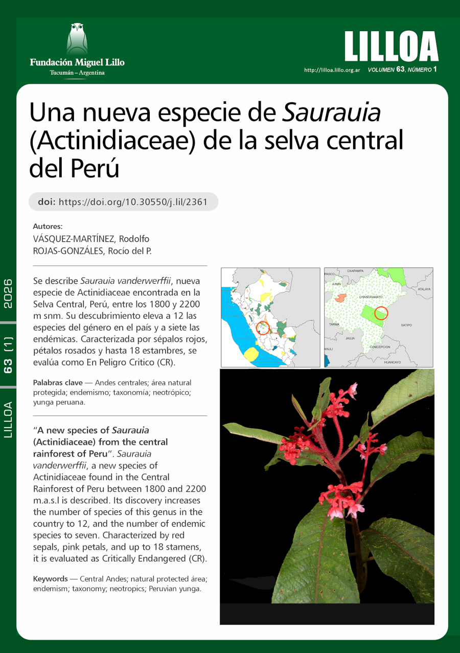 Una nueva especie de Saurauia (Actinidiaceae) de la selva central del Perú