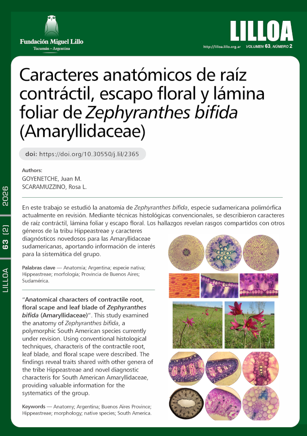 Caracteres anatómicos de raíz contráctil, escapo floral y lámina foliar de Zephyranthes bifida (Amaryllidaceae)