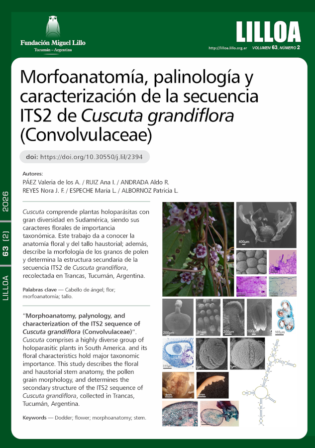 Morfoanatomía, palinología y caracterización de la secuencia ITS2 de Cuscuta grandiflora (Convolvulaceae)