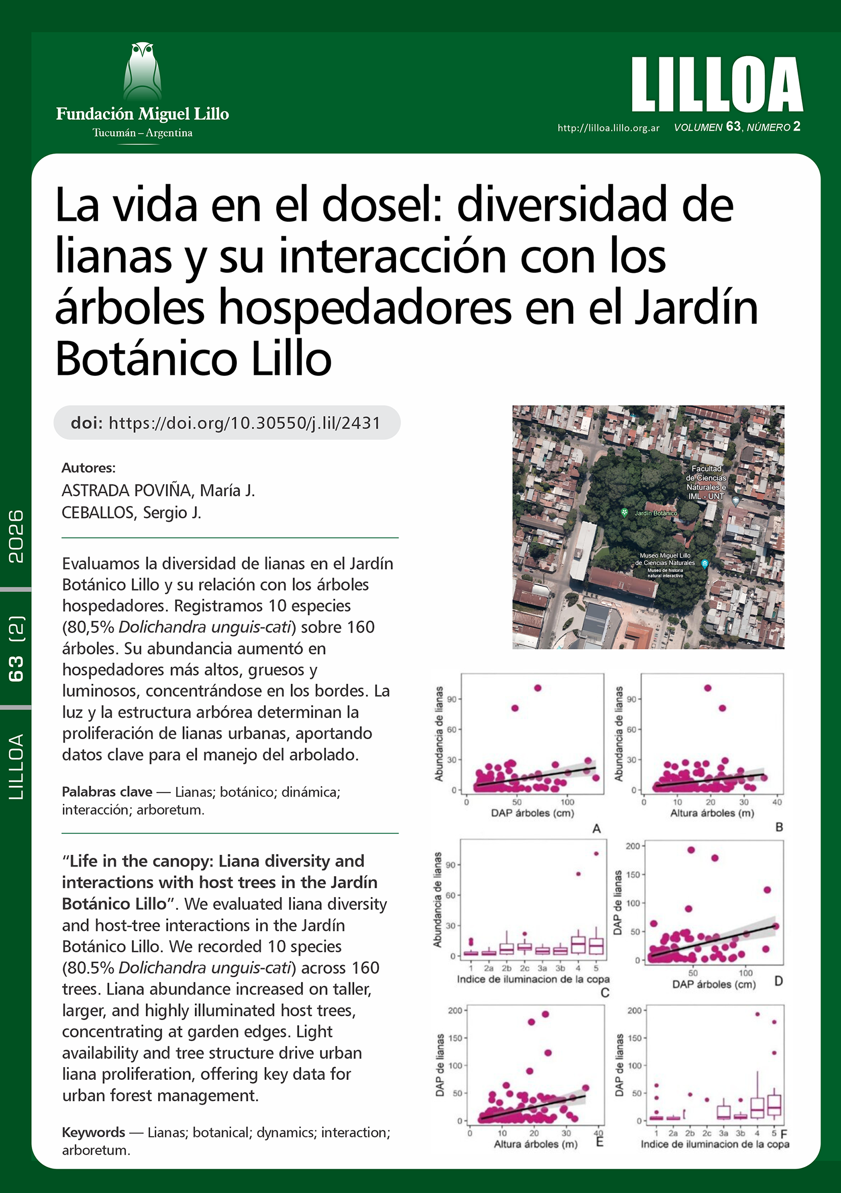 La vida en el dosel: diversidad de lianas y su interacción con los árboles hospedadores en el Jardín Botánico Lillo