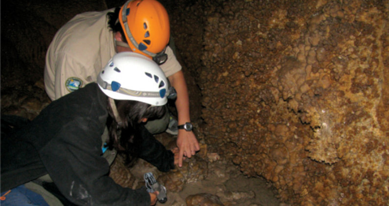 Investigadores del Instituto de Invertebrados