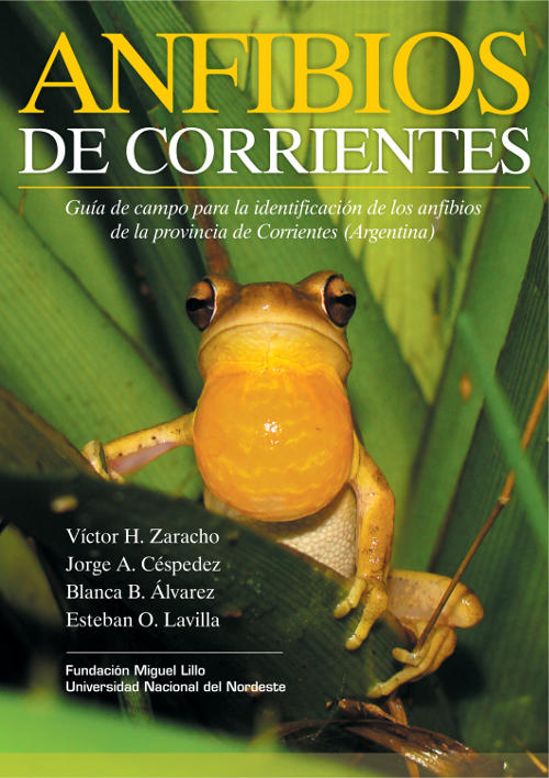 Portada Anfibios de Corrientes