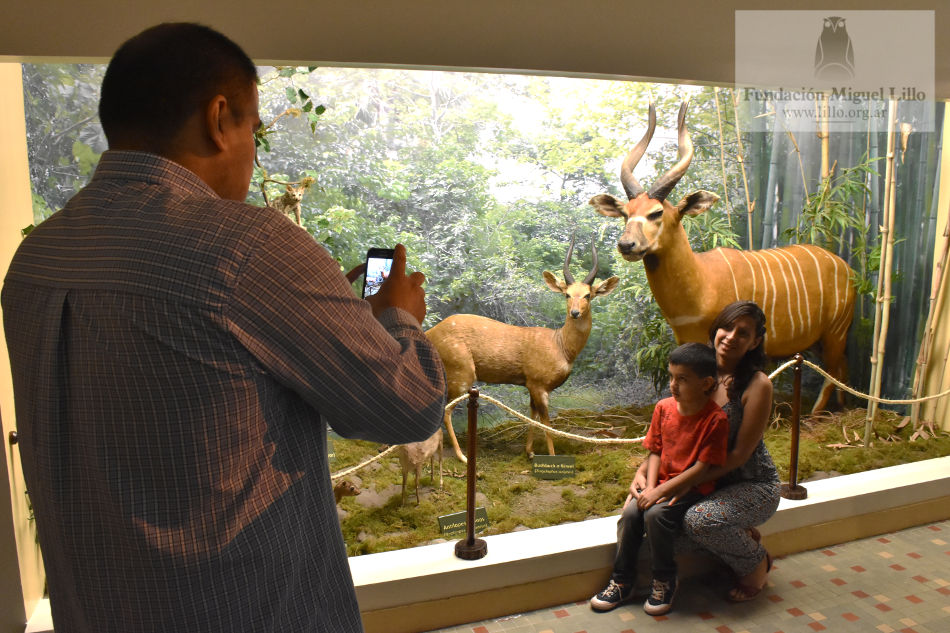 Familia visitando el Museo de Cs. Naturales Lillo