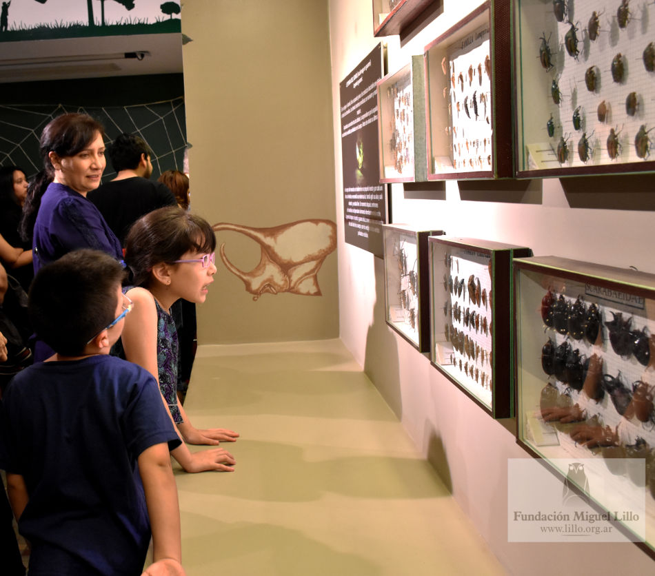 Exhibición de Entomología