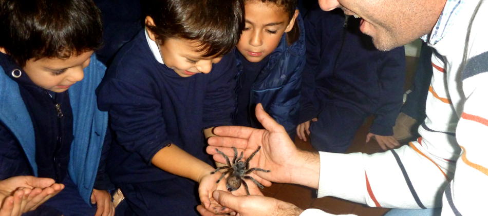 Investigadores del Instituto de Herpetología dan charlas educativas.