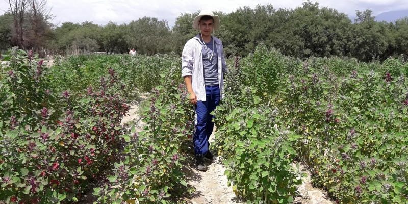 La FML ya realizó un asesoramiento sobre quinoa en Egipto. Foto Juan González