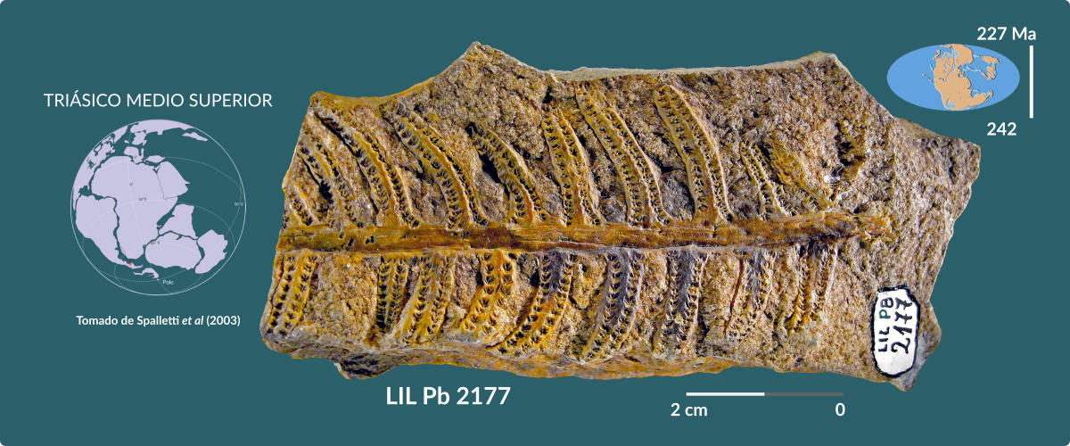 LIL-PB 2177