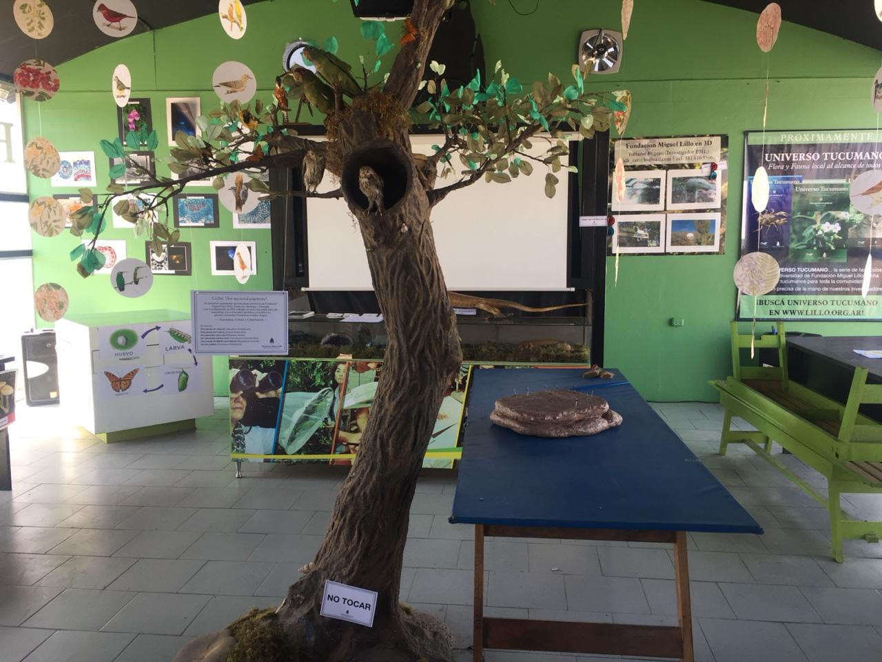 Fundación Miguel Lillo en la EXPO 2018: Naturaleza, ciencia y conservación