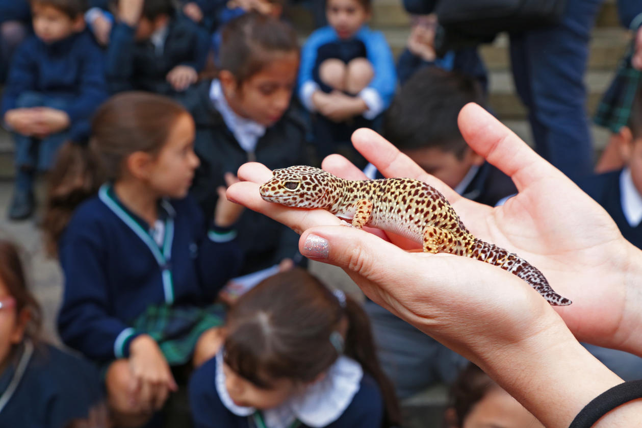 Semana de la ciencia en Fundación Miguel Lillo. Foto de Fundación Miguel Lillo (Mauricio Suárez)