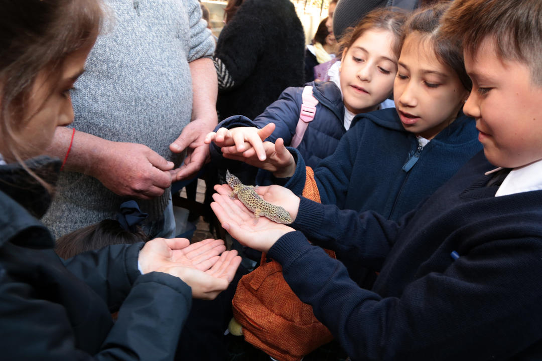 Semana de la ciencia en Fundación Miguel Lillo. Foto de Fundación Miguel Lillo (Mauricio Suárez)