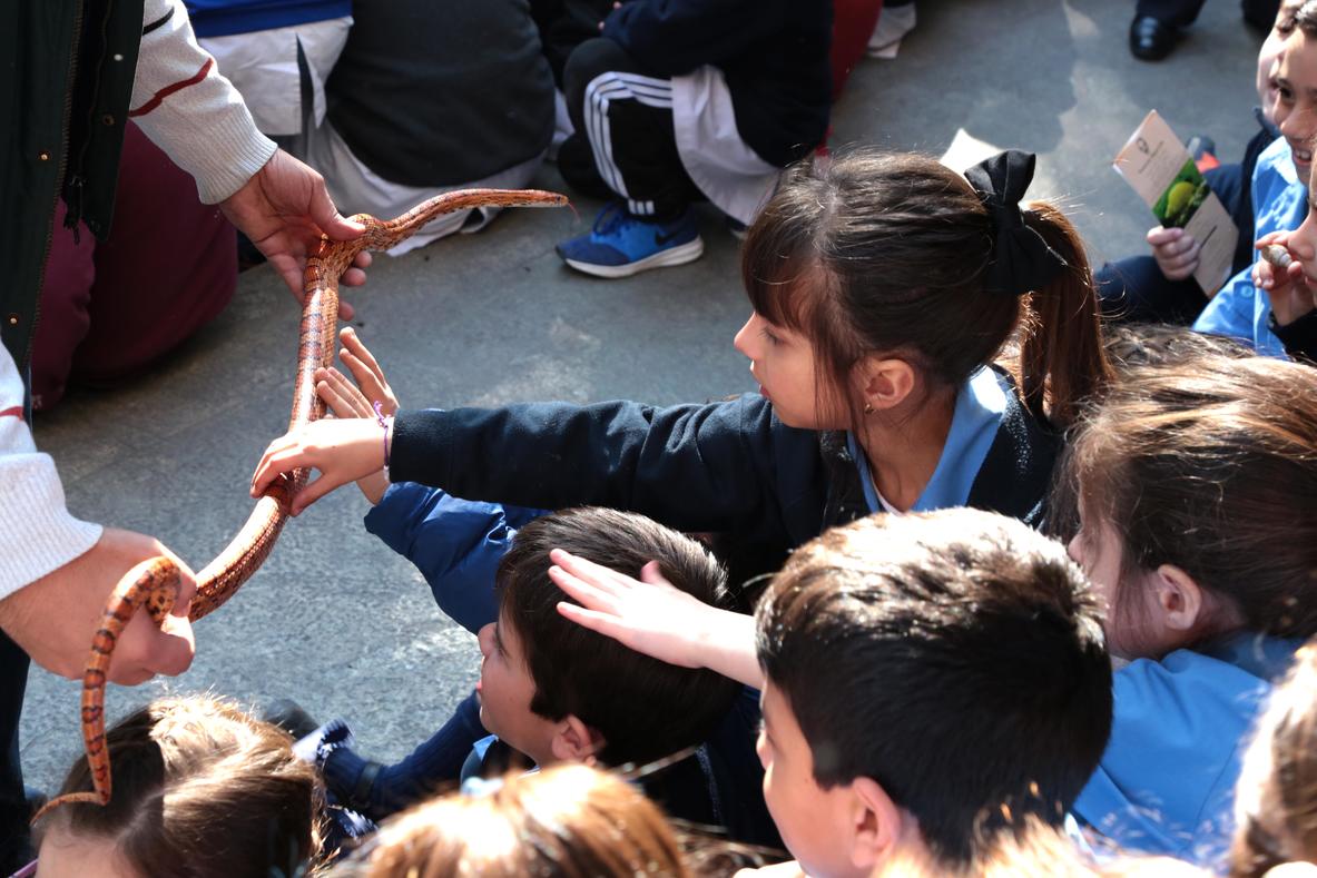 Semana de la ciencia en Fundación Miguel Lillo. Foto de Fundación Miguel Lillo (Mauricio Suárez)