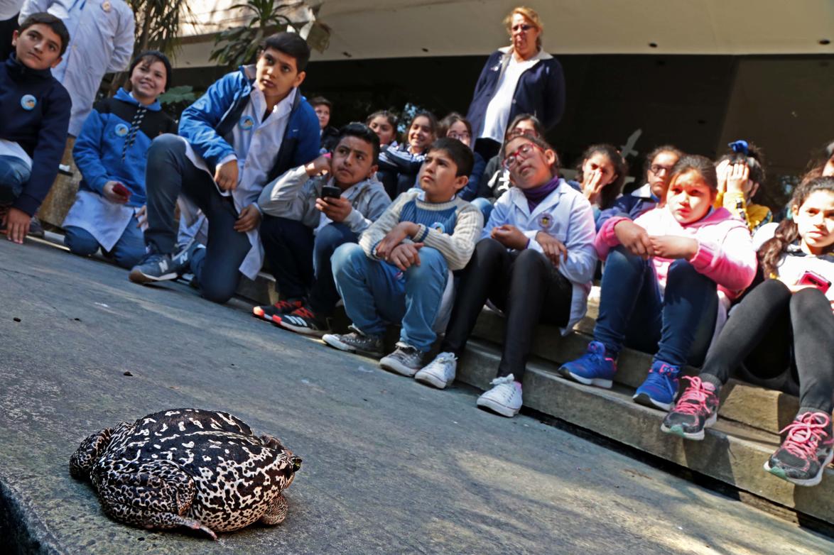 Semana de la ciencia en Fundación Miguel Lillo. Foto de Fundación Miguel Lillo (Mauricio Suárez)