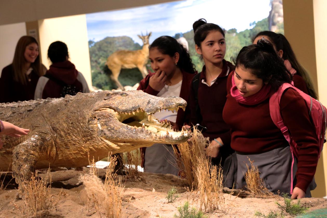 Semana de la ciencia en Fundación Miguel Lillo. Foto de Fundación Miguel Lillo (Mauricio Suárez)