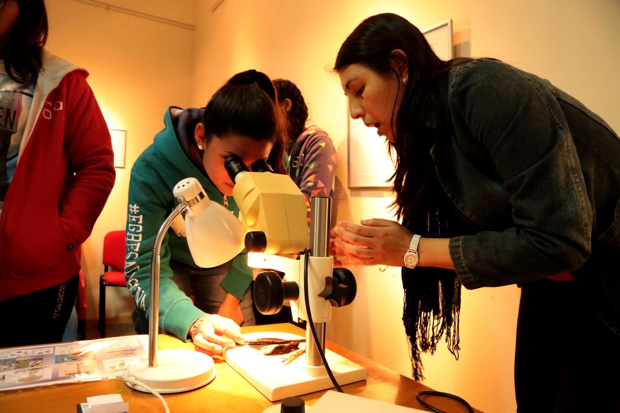 Semana de la ciencia en Fundación Miguel Lillo. Foto de Fundación Miguel Lillo (Mauricio Suárez)