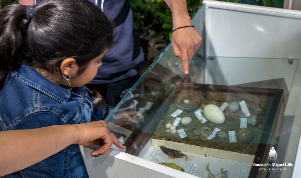 Fundación Miguel Lillo - Expo Tucumán 2019