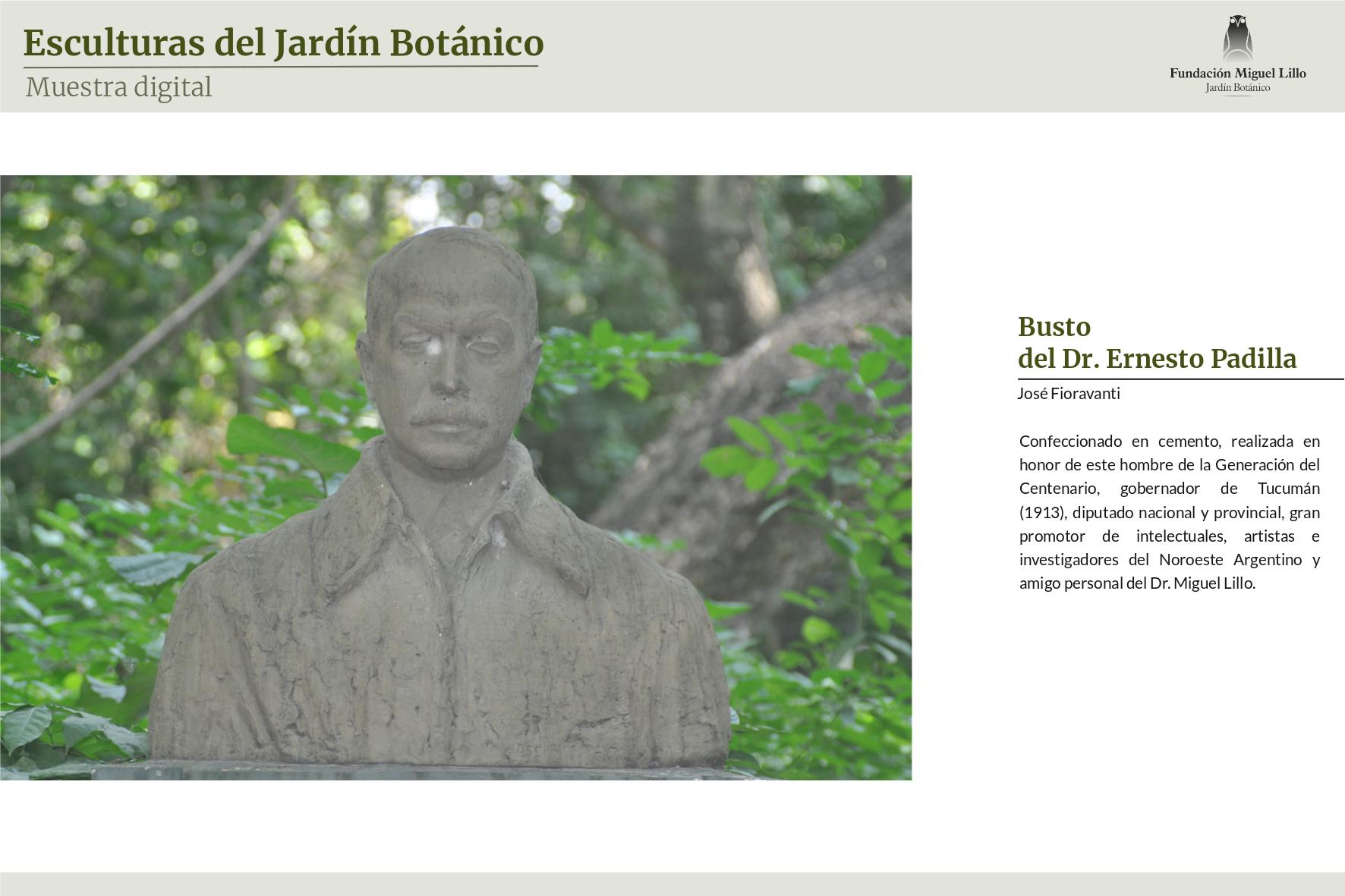 Busto del Dr. Ernesto Padilla (José Fioravanti, Fundación Miguel Lillo)