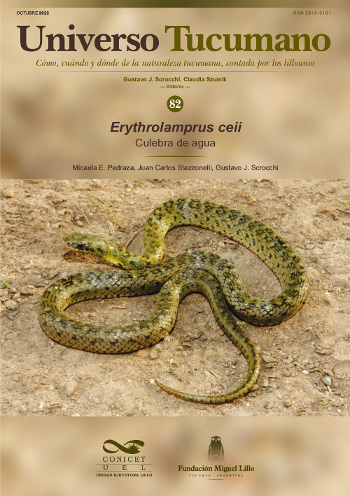 Universo Tucumano 82 (2022): Culebra de agua, Erythrolamprus ceii