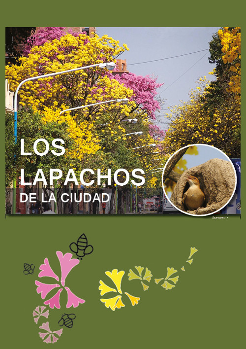 Los lapachos de la ciudad, infografía (2023)