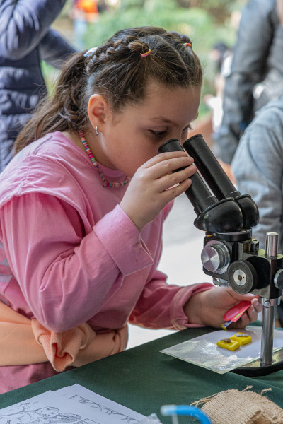Miles de niños aprendieron jugando sobre las Ciencias Naturales
