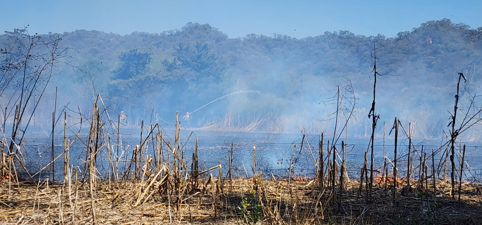 Los incendios forestales en Tucumán, documental