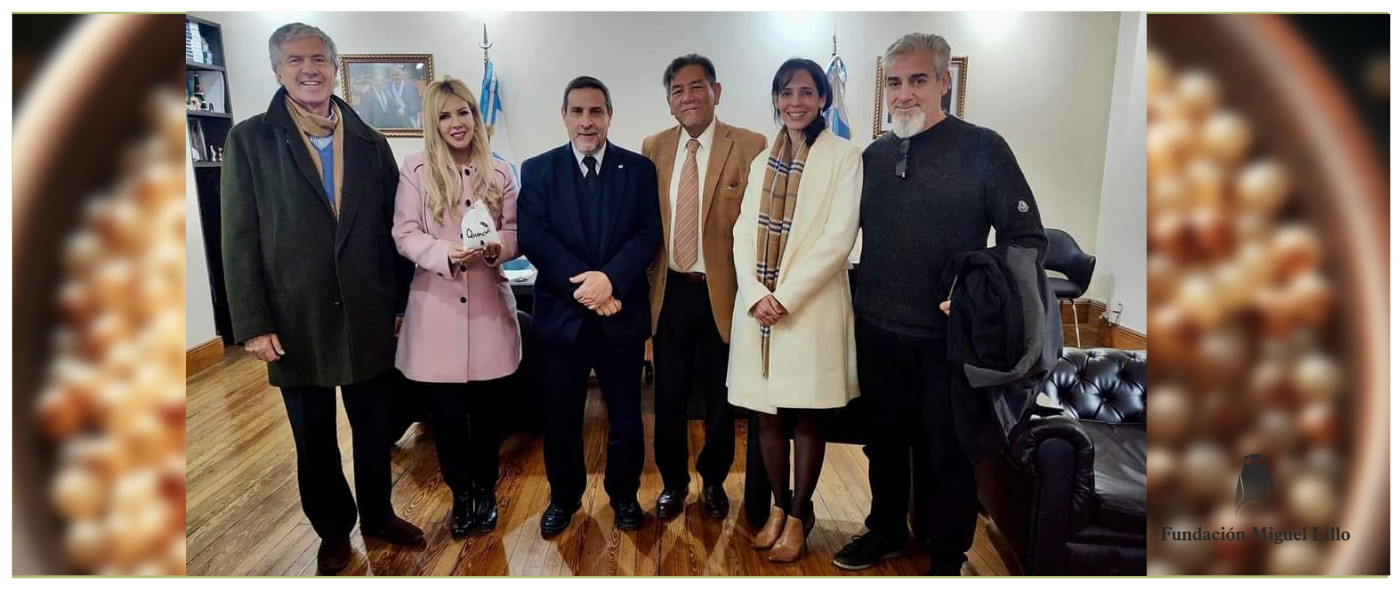Proyectan incorporar la quinoa como complemento nutricional en las escuelas