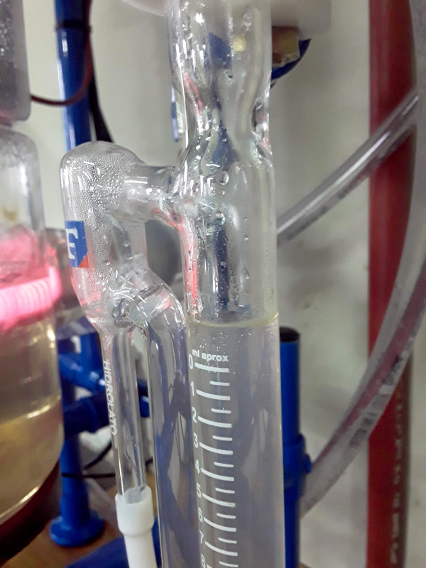 Detalle del tubo colector, el mismo posee una trampa tipo Clevenger donde el líquido condensado se separa en agua y aceite esencial. Por su densidad la esencia se ubica como la fase superior. 