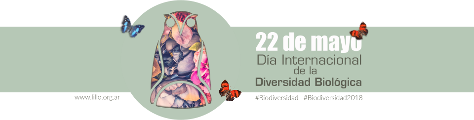 Día internacional de la Diversidad Biológica, Fundación Miguel Lillo