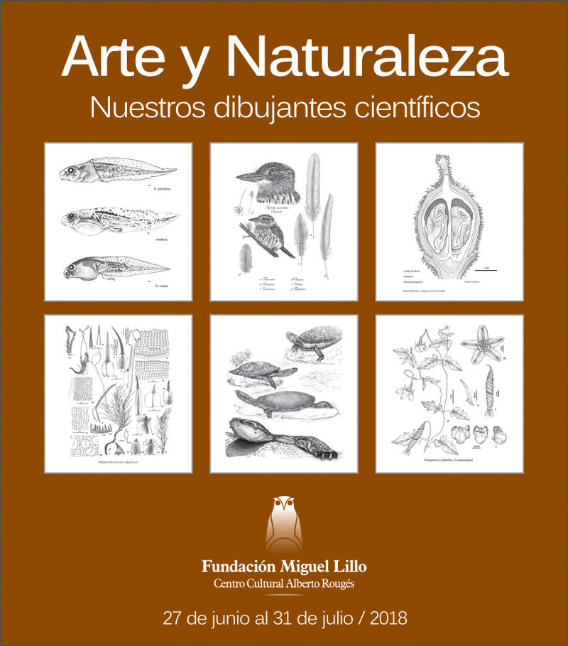 Arte y Naturaleza. Nuestros dibujantes científicos