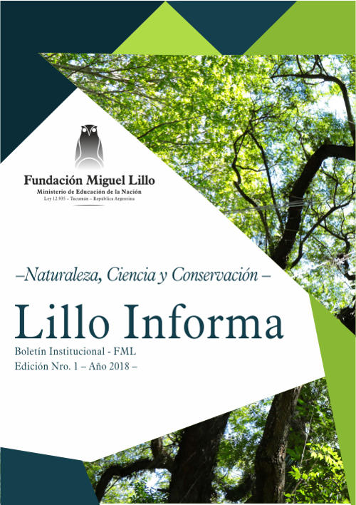 Lillo Informa nº 1