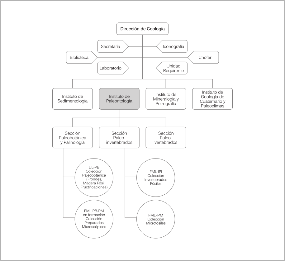 Figura 2: Organigrama de la Dirección de Geología.